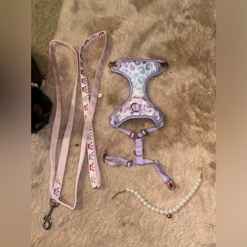 Leash harness collar combo